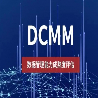 數(shù)據管理能力成熟度模型DCMM評估